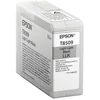 Image de Epson Singlepack Light Noir clair T850900