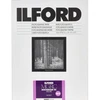 Image de ILFORD MULTIGRADE V RC DE LUXE MGD.1M - Surface Brillante 24.0 x 30.5 cm 10 feuilles
