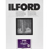 Image de ILFORD MULTIGRADE V RC DE LUXE MGD.44M - Surface Perlée 30.5 x 40.6 cm 10 feuilles