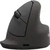 Image de Ratón Fellowes 100143579 Bluetooth USB-C 1600DPI Noir Vertical Ergonomique