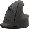 Image de Souris Fellowes 100143581 Bluetooth USB Type-C 2400 DPI Noir Verticale Ergonomique