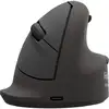 Image de Ratón Fellowes 100143582 Bluetooth USB-C 2400DPI Noir Ergonomique Vertical