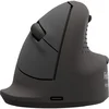 Image de Souris Fellowes 100143583 Bluetooth USB-C 2400DPI Noire Verticale Silencieuse