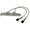 Image de Adaptateur de Plaque USB A Hembra 2 Ports StarTech.com