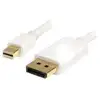 Image de Câble DisplayPort StarTech MDP2DPMM2MW 2m Mini DisplayPort DisplayPort 1.2 Blanc