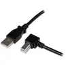 Image de Câble USB-C vers USB-C 100W Noir pour Écrans Z et Stations de Charge