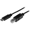 Image de Câble USB StarTech USB2CB2M USB-C vers USB-B 2m Noir 480 Mbit/s