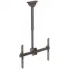 Image de StarTech FPCEILPTBSP Soporte de Techo para TV 37"-75" VESA 600x400 Máx 50Kg