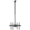 Image de StarTech Soporte de Techo para TV de 32" a 75" Negro