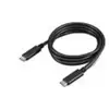 Image de Cable Lenovo USB-C 1 m USB 3.2 Gen 2 10 Gbps Noir