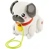 Image de Jouet éducatif Fisher-Price HTW94 Multicolore Sonore sans piles