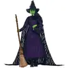 Image de Poupée Mattel Wicked Deluxe Elphaba 29 cm
