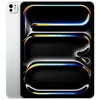 Image de IPAD PRO 13 WF CL 2TB ARGENT-ISP