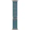 Image de Bracelet Apple MFTH4ZM/A Alpine Loop S Titane Bleu compatible Watch 44-49mm