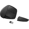 Image de Souris HP verticale ergonomique sans fil 4000 DPI noir avec repose-poignet