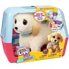 Image de Peluche Interactive Vétérinaire Little Live Pets Mon Chien Ouchies 50+ Sons