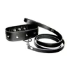 Image de Collier Clouté avec Laisse