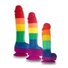 Image de Gode Ventouse Colours Pride Edition