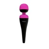 Image de Palm Power Rechargeable