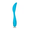 Image de Stimulateur Palm Springs Pleaser