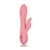 Image de Rabbit Pasadena Player