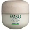 Image de Waso Shikulime