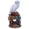 Image de Figurine médium Nemesis Now Hedwig 22 cm 15x15x22 cm