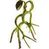 Image de Figurine Bowtruckle Flexible The Noble Collection 18 cm Animaux Fantastiques