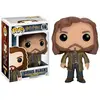 Image de Figurine Funko Pop Harry Potter Sirius Black 9 cm
