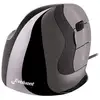 Image de Souris Evoluent VMDS USB filaire 2600 DPI noir argent ergonomique verticale