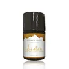 Image de Relaxant Anal Adventure