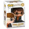 Image de Figurine Funko Pop Harry Potter Harry with Hedwig Exclusive 9 cm