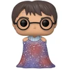 Image de Figurine de collection en vinyle Funko Harry Potter POP Movies Harry w/Invisibility Cloak 9 cm