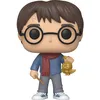 Image de Figurine Funko POP Harry Potter Holiday Harry Potter 9 cm