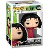 Image de Figurine Funko Disney Villains Mother Gothel 9 cm