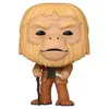 Image de Figurine en vinyle Funko La Planète des singes POP! Movies Dr Zaius 9 cm