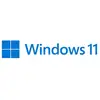Image de Système d'exploitation Microsoft HAV-00156 Windows 11 Pro 64 bits USB Français