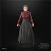 Image de Hasbro Star Wars The Black Series Morgan Elsbeth Star Wars Action Figures (6 )