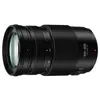 Image de LUMIX G 100-300MM F/4.0-5.6 ASPH