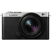 Image de Lumix S9 Noir et Argent + Objectif Optique Lumix S 18-40mm F4.5-6.3