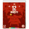 Image de 12 Singes