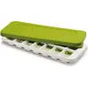 Image de QUICKSNAP PLUS