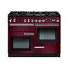 Image de PROFESSIONAL+ - PROP110DFCY/C-EU - 110CM