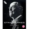 Image de Wild Strawberries