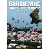 Image de Birdemic Shock and Terror