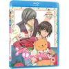Image de Junjo Romantica - Saison 2