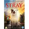 Image de The Stray