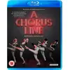 Image de A Chorus Line: 30th Anniversary Edition