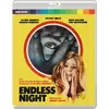 Image de Endless Night