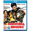 Image de Hannibal Brooks